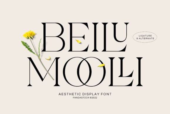 Beilu Moolli: A Serif Font for Modern Web Design
