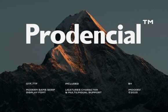 How Prodencial Transformed My Brand's Visual Identity