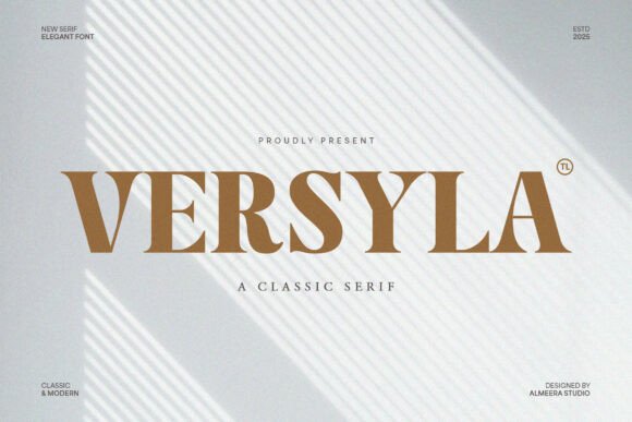 How Versyla Transformed My Brand’s Visual Identity