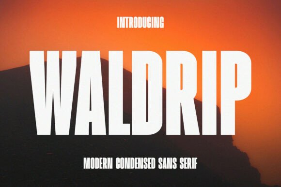 Waldrip Sans Serif Font for Web Design